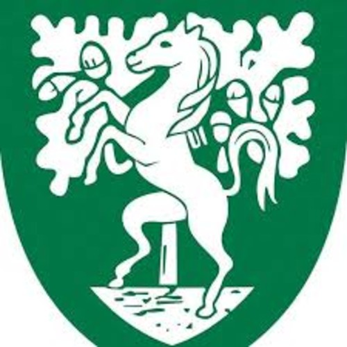 Stover Preparatory School